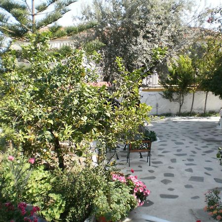 Apartament Sunrise Flora Agia Marina  Zewnętrze zdjęcie