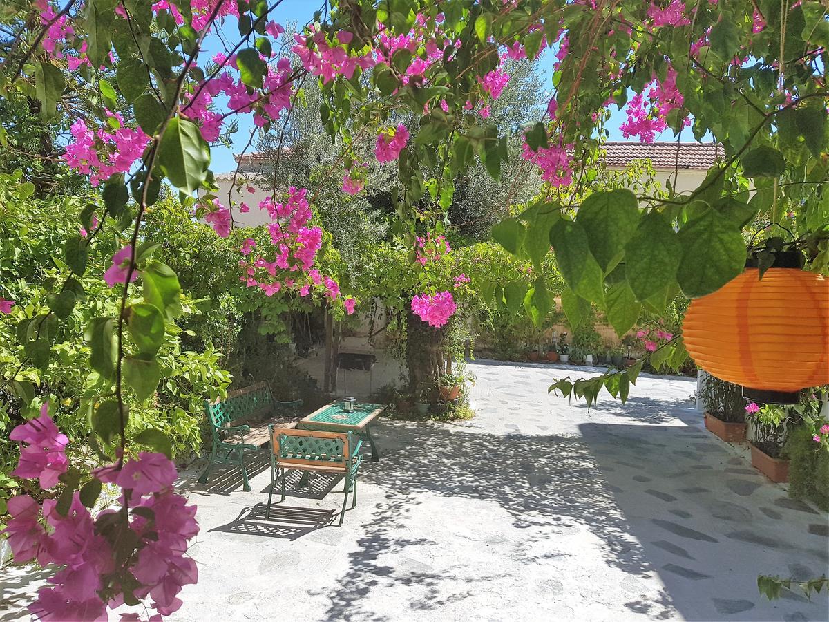 Apartament Sunrise Flora Agia Marina  Zewnętrze zdjęcie